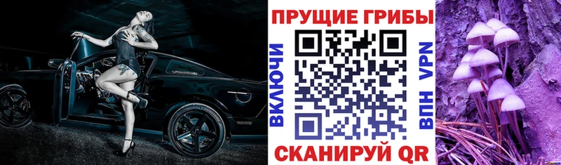 Галлюциногенные грибы Cubensis  гидра вход  Домодедово 